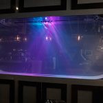 Jellyfish Aquarium